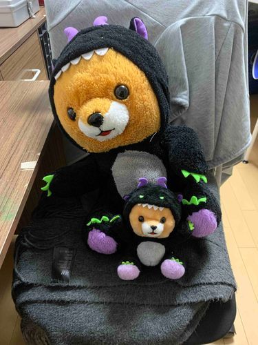 家に買ってたら僕の分身がいた、、、