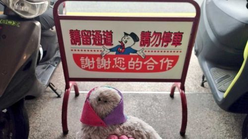 また台湾行きたいな🇹🇭