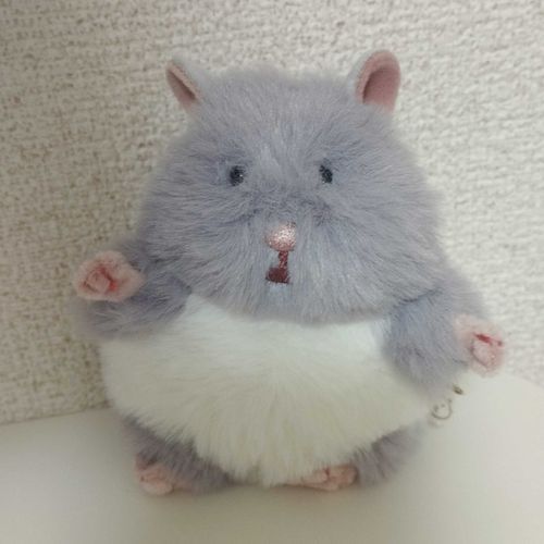 ゴマだよ(͒ ᴖ ·̫ ᴖ )͒