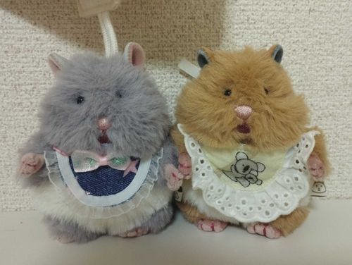 実は家族増えたの🐹
ゴマ(左)より少しぽっちゃりのクマ(右)。
ハムスターなのにクマ🧸