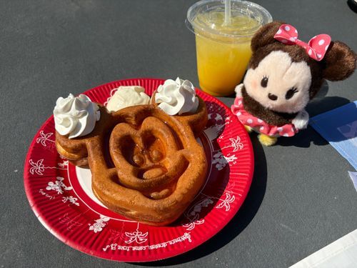 ディズニー大好き主といろんなところにいくよ！みんなと仲良くなりたいな~🫧