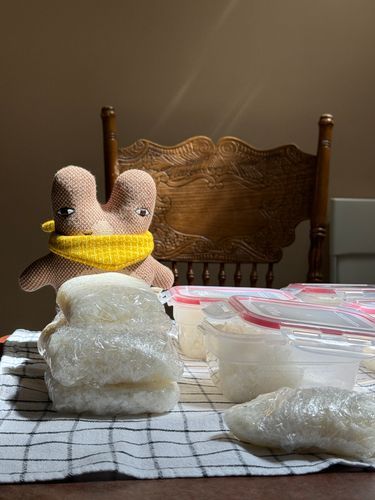 ご飯が冷えるのを見守る