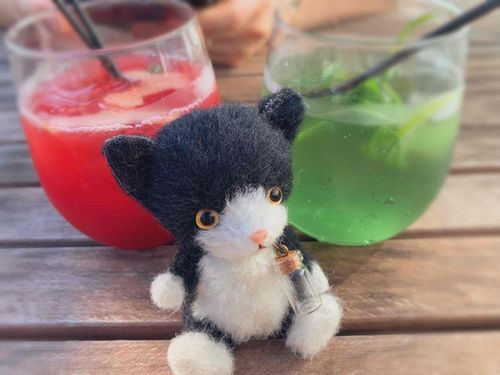 はじめまして、ちゅんたです。
今日は寒いので、暑かった時の思い出をのせてみます🐈