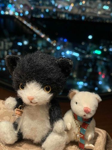 白ねずみの「らきくん」ときれいな景色をみたよ✨