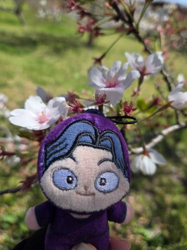 今年の4月、桜をみました