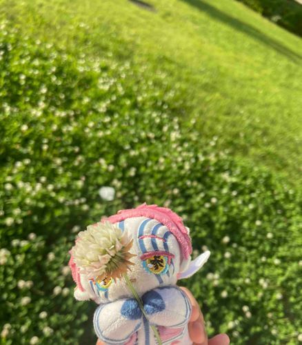 むだんたまにおみやげの