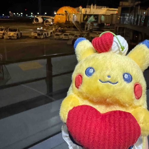 アローラ地方に出発‼️