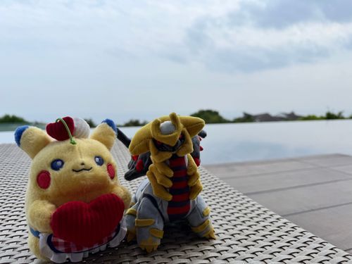 ぬい撮りすっぽかしまくってるので定期的に写真が上がらない残念なアカウントはこちら