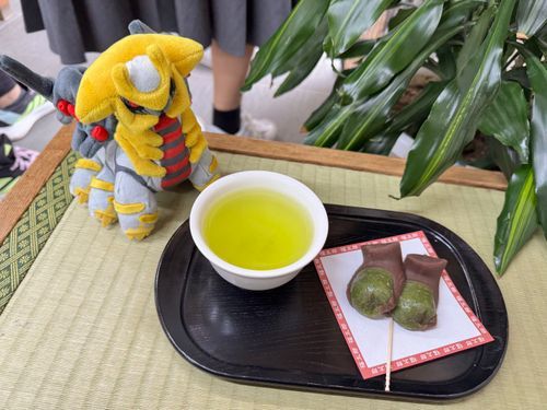 初めての和菓子に興味津々のギラちゃ♡