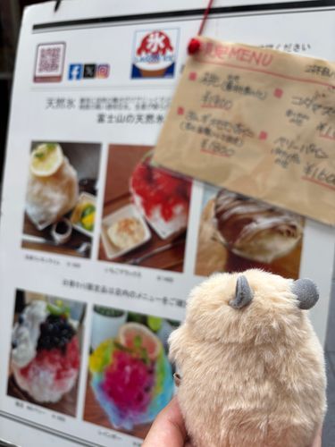 どれにしようかな。