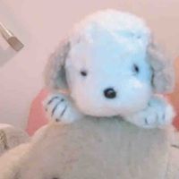 みーこちゃんのわんこちゃんたち