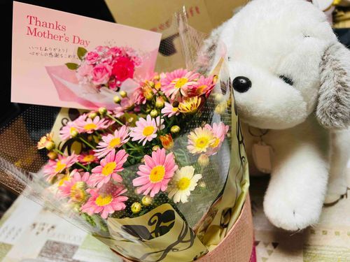 Happy Mother’s Day! 🐶⸜🌷︎⸝‍

#あやきち