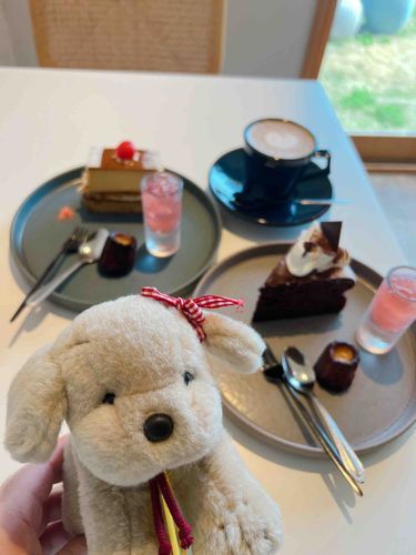 ほよよ🍰🫖
by.くたこ