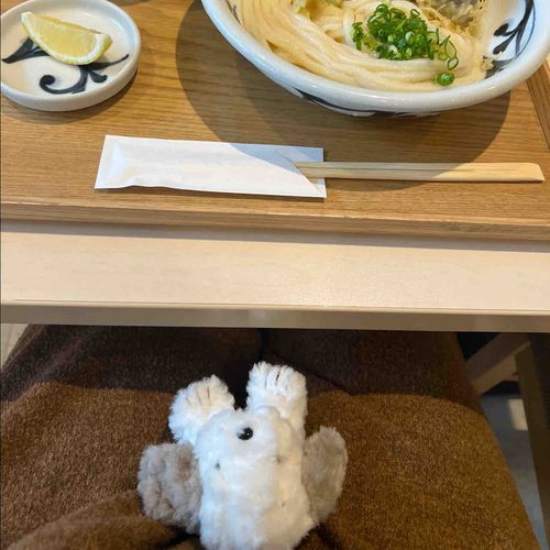 ほよほよほよ(おうどんやで〜)
by.うめり