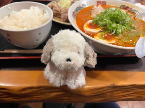 ほょょょ〜🍜🌶🥚(からいらーめん🍜🌶🥚)
by.うめり