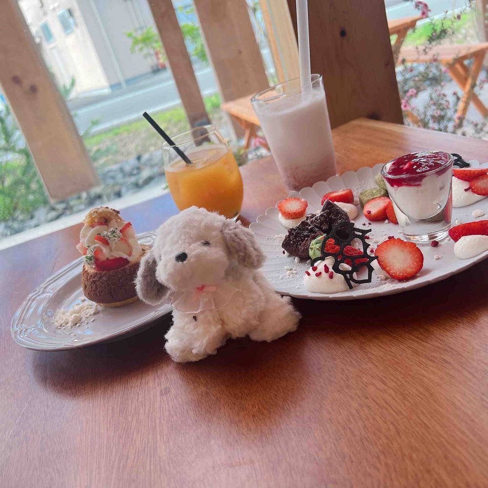 ほょょょょ〜❁⃘*.ﾟ
(おしゃんなでざ〜とやで〜❁⃘*.ﾟ)
by.うめり