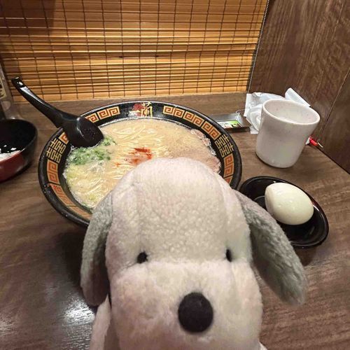 ほよよよ〜🍜
(らーめんおいち🍜)
by.うめこ