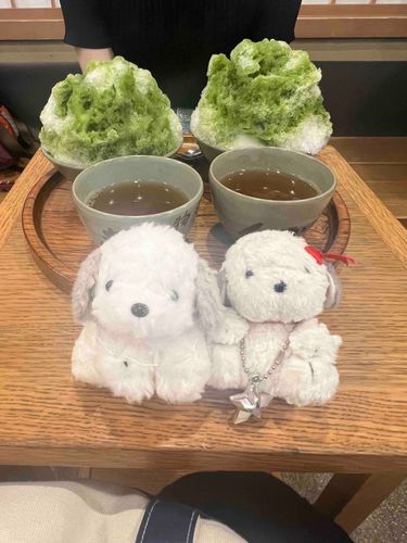 ほよよ〜🍧
by.りぼんちゃん、うめぞう