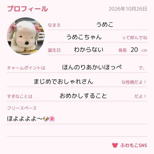 第1弾🐶🧸不定期に紹介していくよ〜🐶🧸
