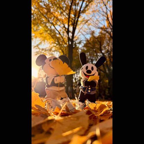🍁💛🧡❤️🤎🍂