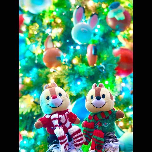 🐰🎄🦊