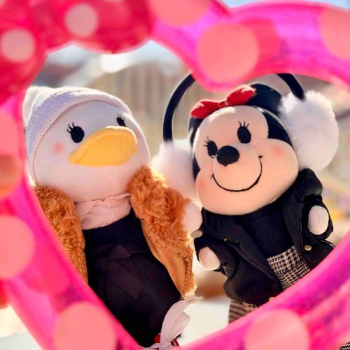 🎀minnie's funderland🏰