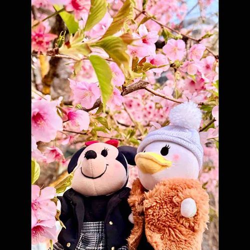 冬服で来ちゃった…🌸