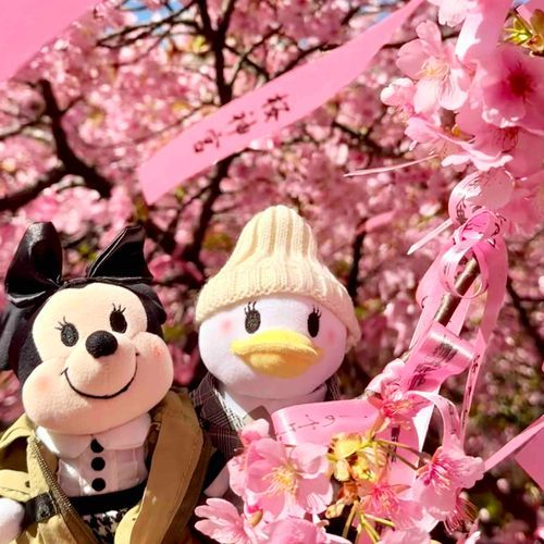 🌸🍵🫶
