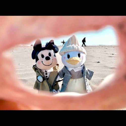 貝殻から覗いたさきに👀🐚