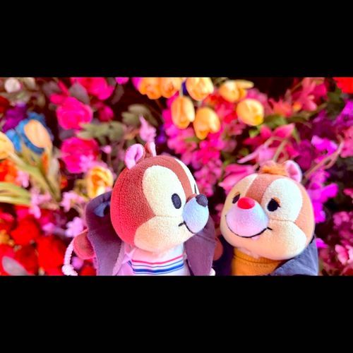 💐HBD🌷🪻🌼🌹🌻
