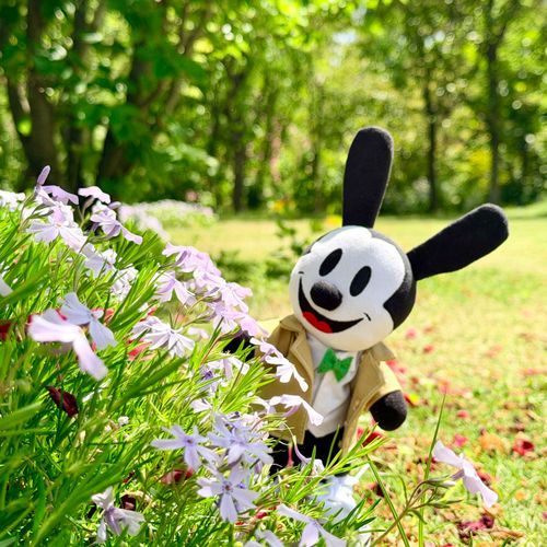 💜🐰💚