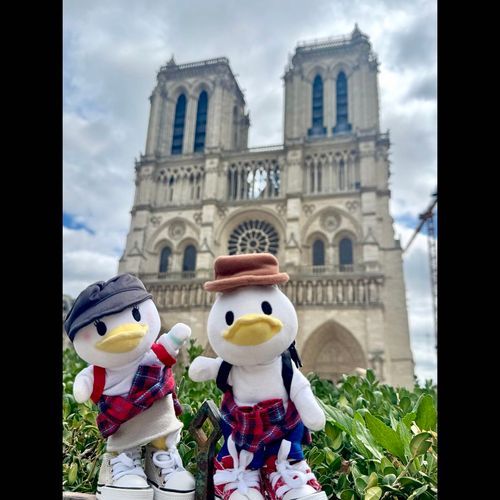 Cathédrale Notre-Dame de Paris🇫🇷