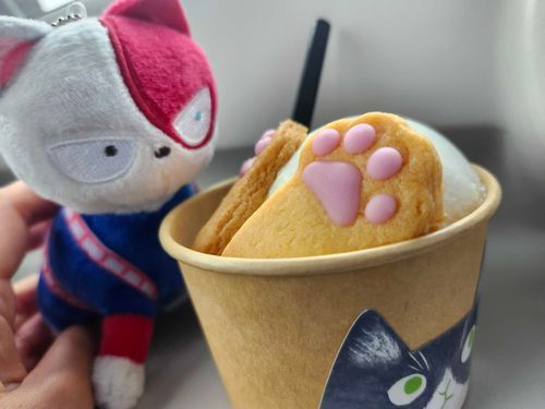ねこのあいすとねこ！
おいしかったなあ