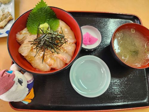 うみをみながらひらめどんをたべたよ
カモメさんがずっとはぐを見てた
にほんかいはにびいろだったよ