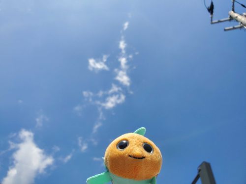 いー天気！