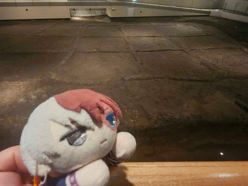 これは、やよいじだいのたんぼ
こんなにきれいにつくってたんだね
あしあとものこってるんだって

はぐにはみえたよ
がんばってたうえをするやよいじん
