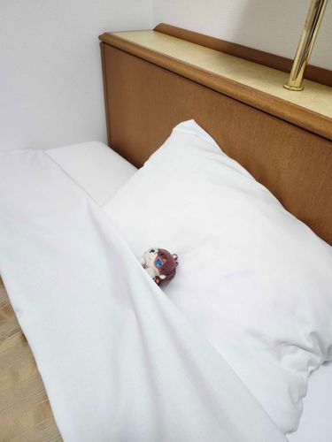 ほてるってひにちじょうでなんかいい

