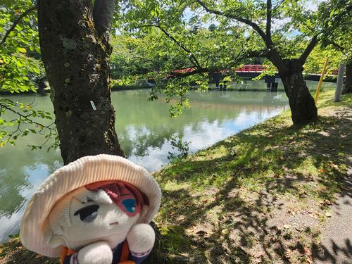 ここをおさんぽこーすにしようよ
しずかできれいでとってもいいところだよ