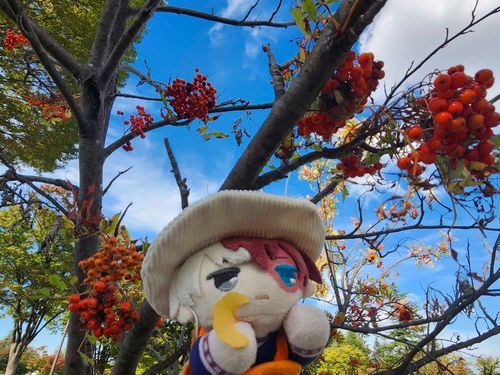 みて！
ちいさいいちょうのはっぱ！
どこかにちいさいものたちのせかいがあるのかな