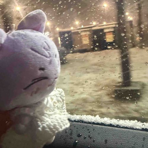 雪ですに❄️