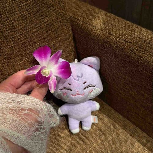 南国どぎち🌺♡