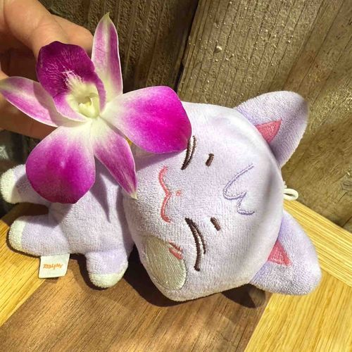 むらさきですに~‼︎💜💜
