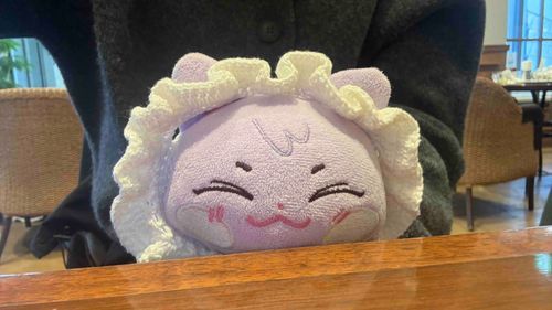 🥟🐱