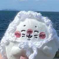 アザラシ