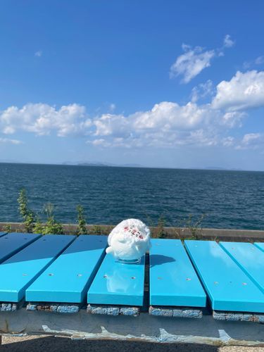 愛媛県の下灘駅🌊
手作りバブーシュカを着けたアザラシと共に🤍🫧‪