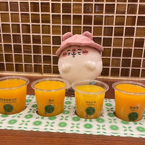 愛媛旅行記　愛媛の食卓