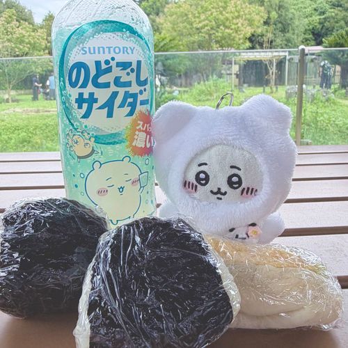 おにぎり持ってピクニック🍙
（パンはちょっと潰れちゃった‼︎）
