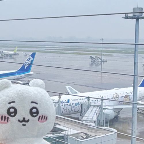 いつか乗りたいな✈️