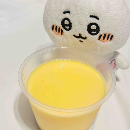 おばあちゃんの手づくりプリン🍮