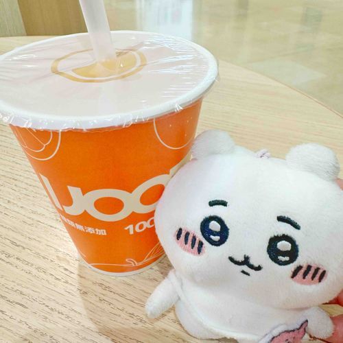 フレッシュ🍊